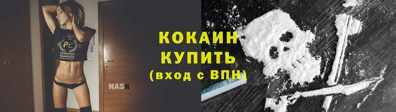 продажа наркотиков  Кизилюрт  Cocaine Эквадор 